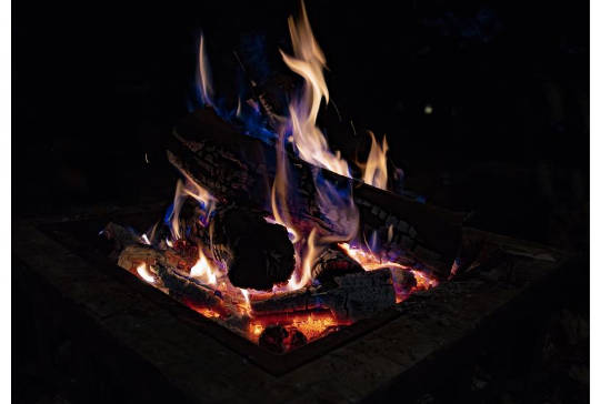 Benefits of Psychedelics in Times of Division, Crisis, and Collapse Benefits of Psychedelics in Times of Division, Crisis, and Collapse